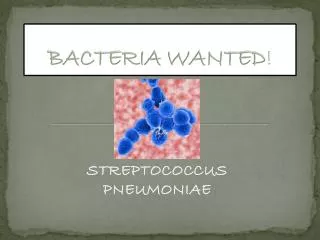 BACTERIA WANTED !
