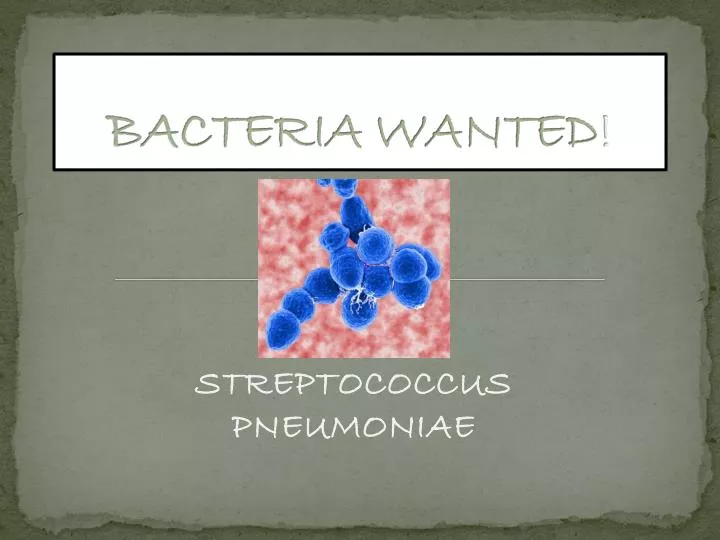 bacteria wanted