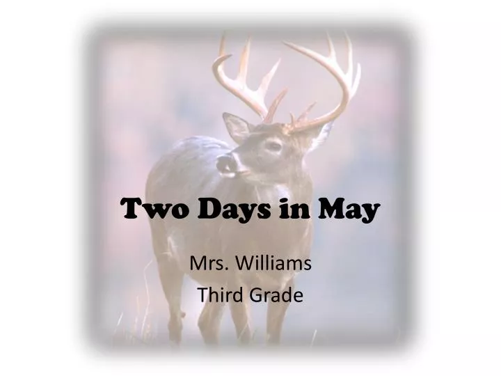 two days in may