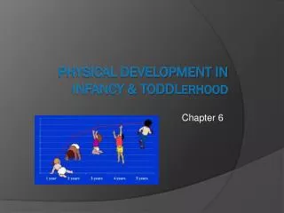 Physical Development in Infancy &amp; Toddl erhood