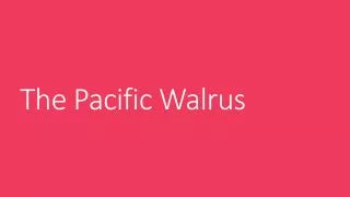 The Pacific Walrus