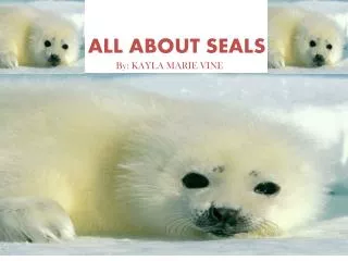 ALL ABOUT SEALS