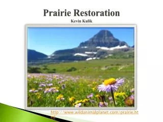 Prairie Restoration Kevin Kulik