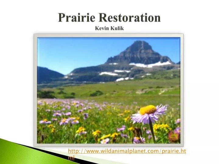 prairie restoration kevin kulik
