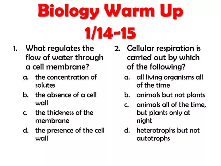 biology warm up 1 14 15