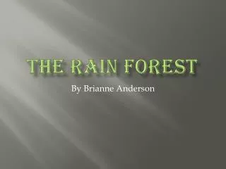 The Rain Forest