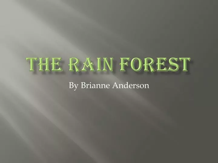 the rain forest