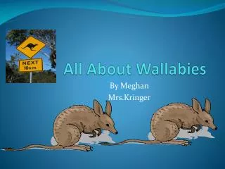 All About Wallabies