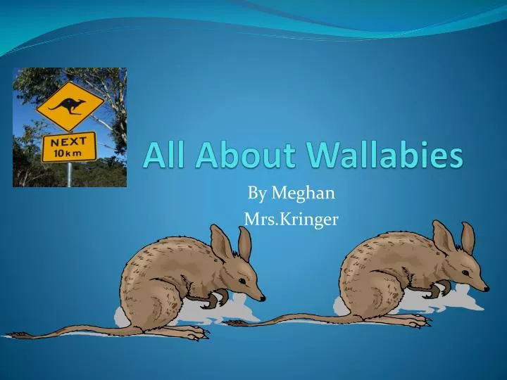 all about wallabies