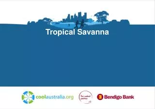 Tropical Savanna