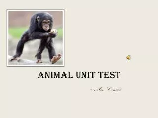 Animal Unit Test
