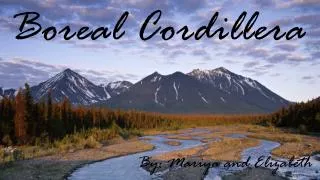 Boreal Cordillera