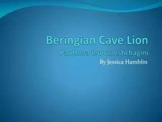Beringian Cave Lion Panthera leo vereshchagini