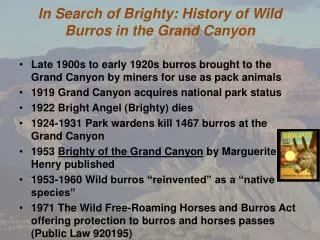 In Search of Brighty : History of Wild Burros in the Grand Canyon