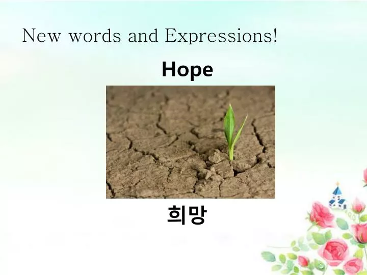 new words and expressions