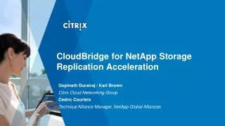 CloudBridge for NetApp Storage Replication Acceleration