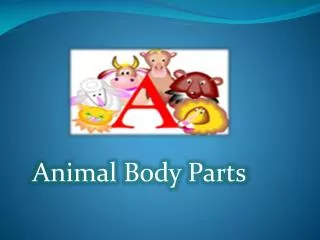 Animal Body Parts