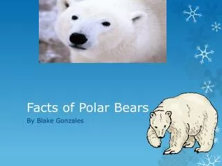 F acts of Polar B ears