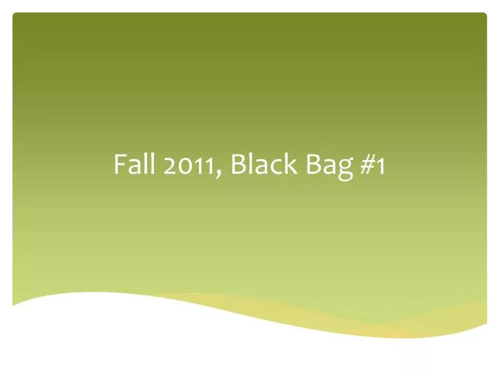 fall 2011 black bag 1