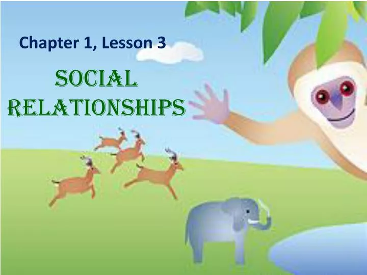 social relationships