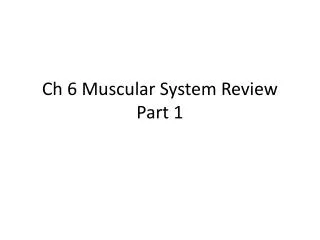 Ch 6 Muscular System Review Part 1