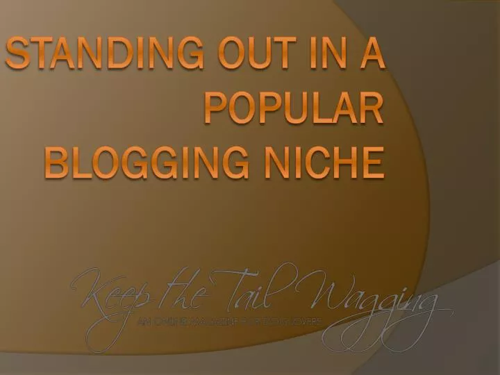 standing out in a popular blogging niche