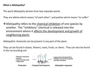 What is Allelopathy ? The word allelopathy derives from two separate words.