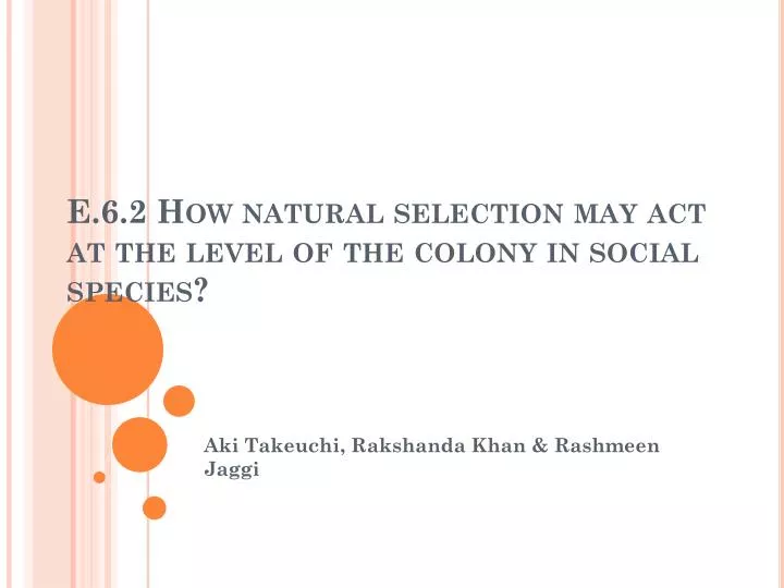 e 6 2 how natural selection may act at the level of the colony in social species