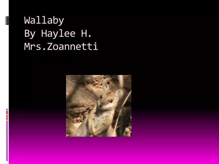 wallaby by haylee h mrs zoannetti