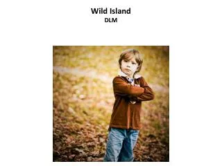 Wild Island DLM