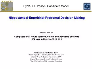 SyNAPSE Phase I Candidate Model