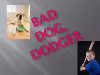 BAD DOG, DODGER