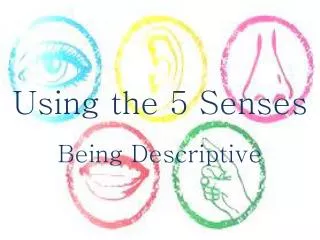 Using the 5 Senses