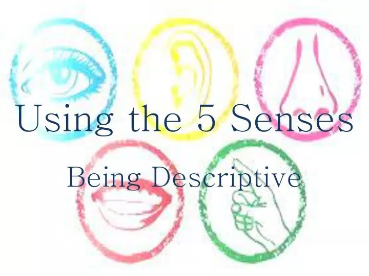 using the 5 senses