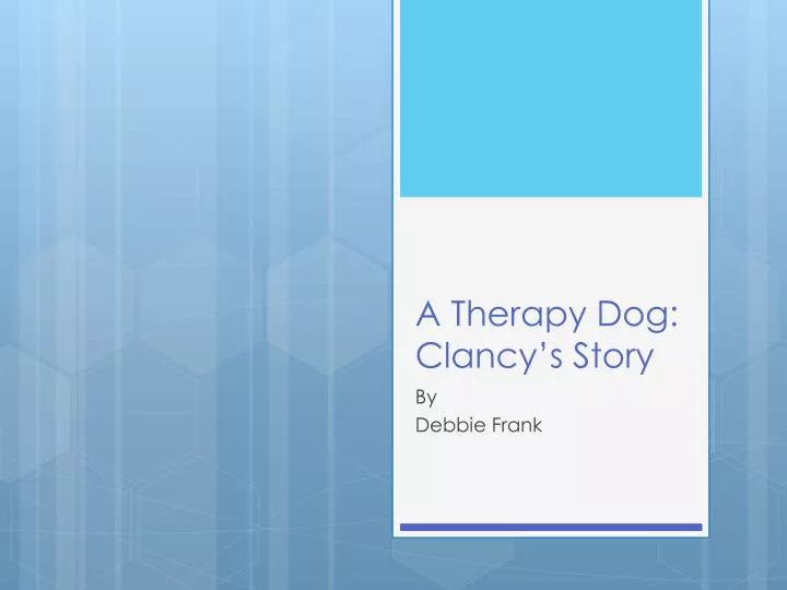 a therapy dog clancy s story