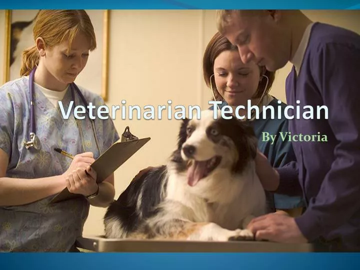 veterinarian technician
