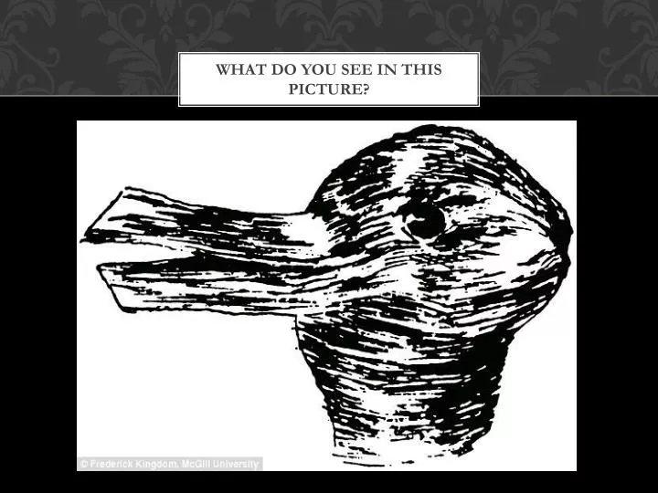 what do you see in this picture