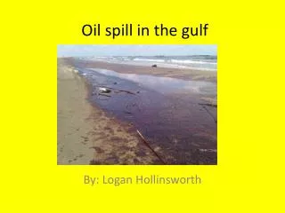 Oil spill in the gulf