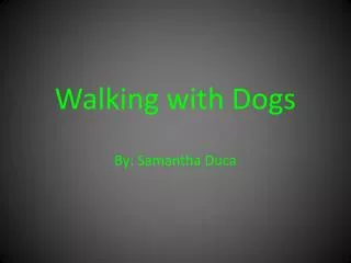 Walking with Dogs