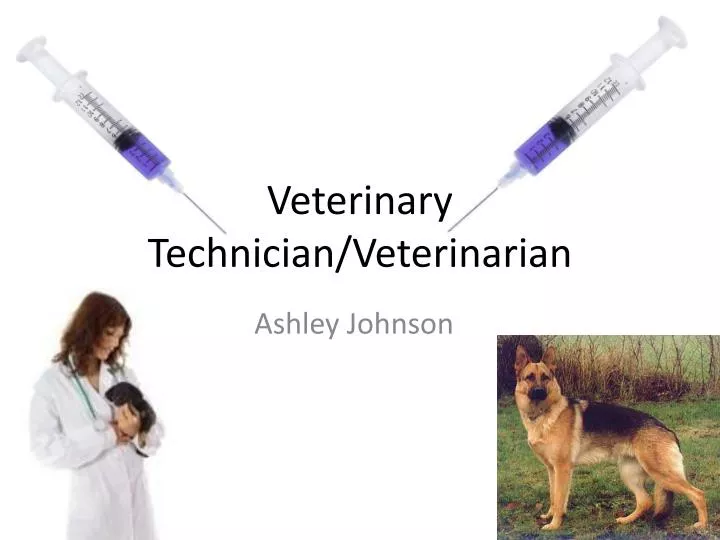 veterinary technician veterinarian