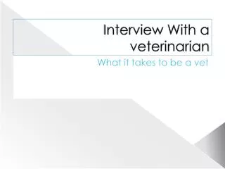 Interview With a veterinarian
