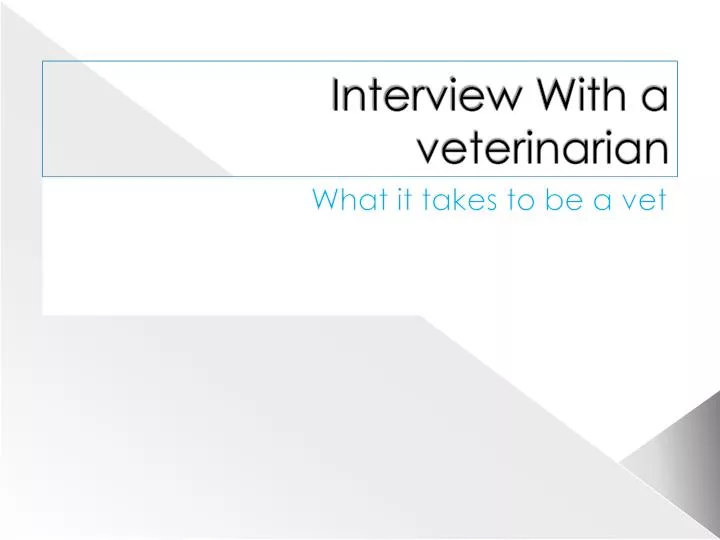 interview with a veterinarian