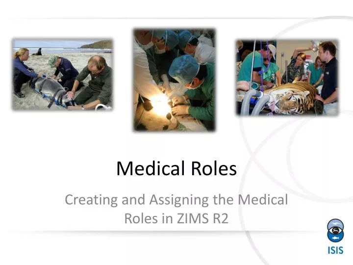 medical roles