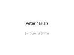 Veterinarian - slide 1