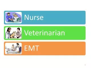 Veterinarian