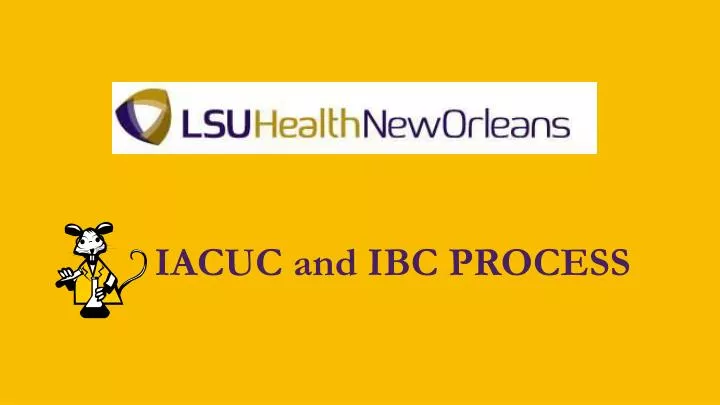 iacuc and ibc process