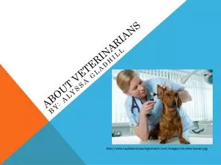 about veterinarians