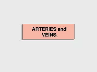 ARTERIES and VEINS