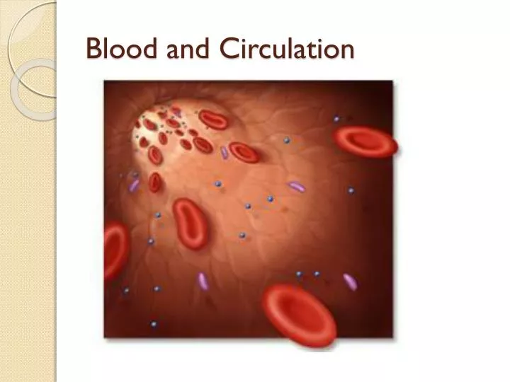 blood and circulation