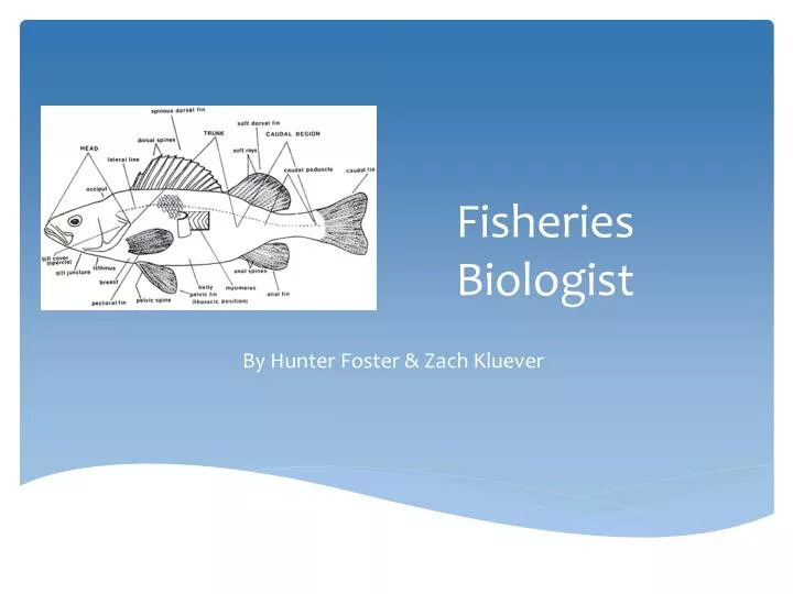 fisheries biologist